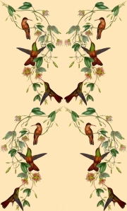 Hummingbird pattern tile - 884 x 1458
